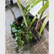 Bianca Egg Pot gallery detail image