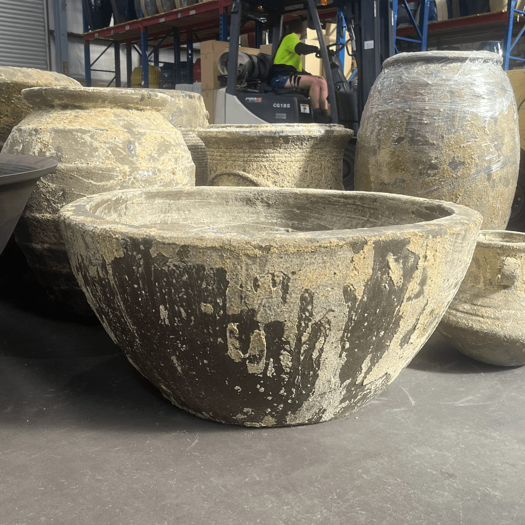 Atlantis - Herb Garden Bowl gallery detail image