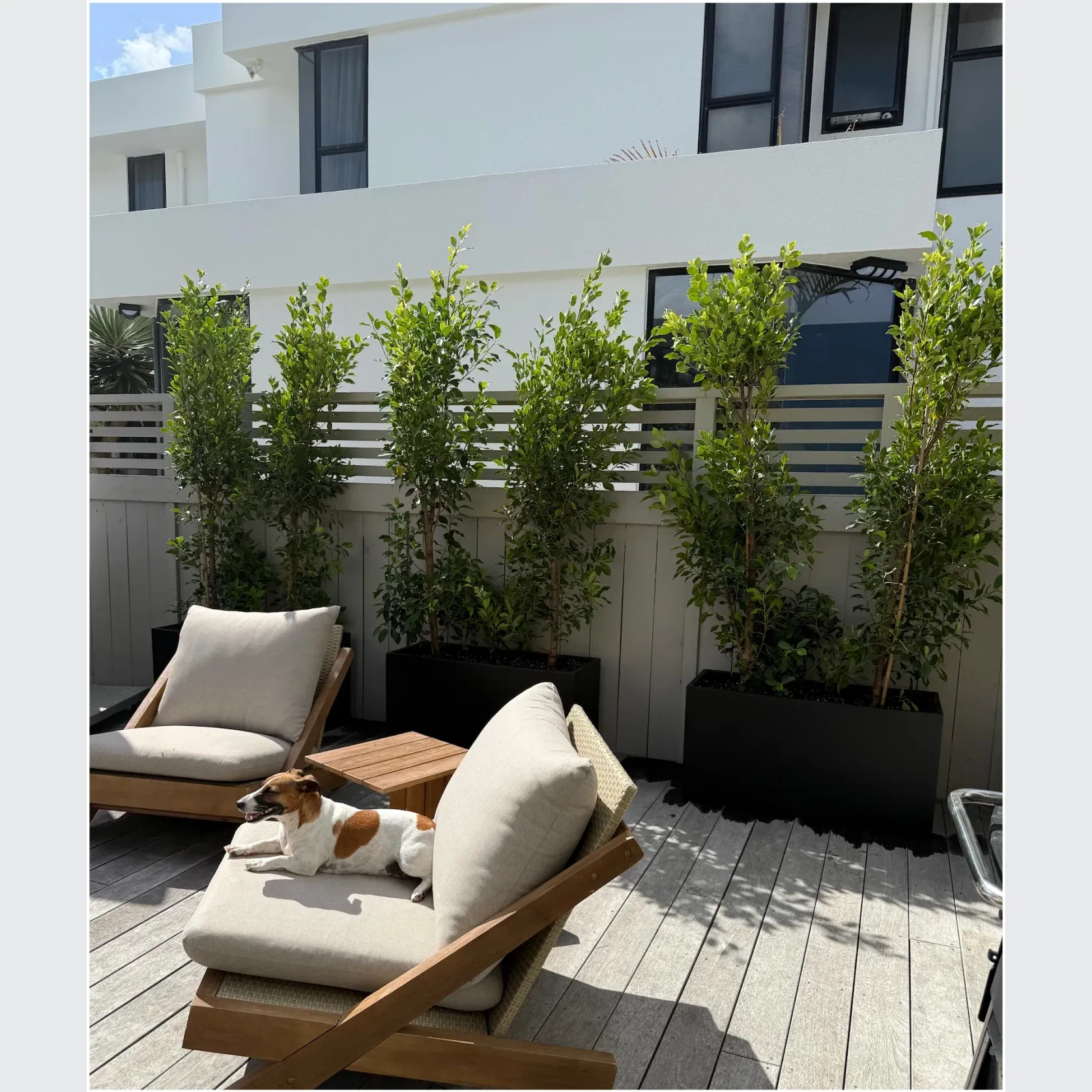 Bianca Trough gallery detail image