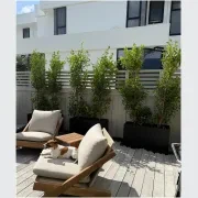 Bianca Trough gallery detail image