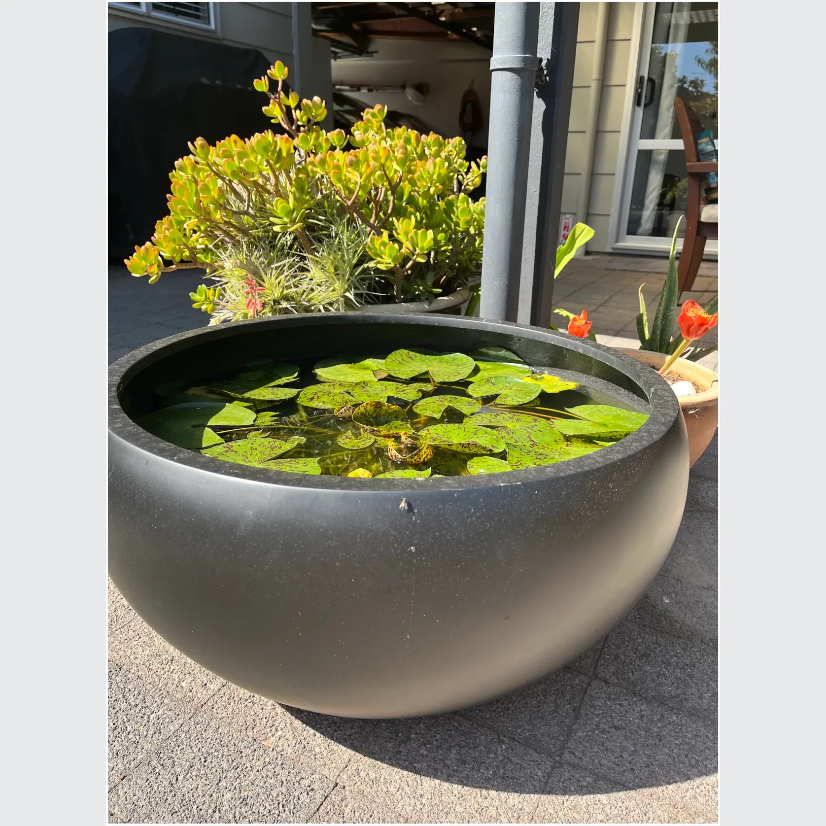 Bianca Hibachi Bowl gallery detail image