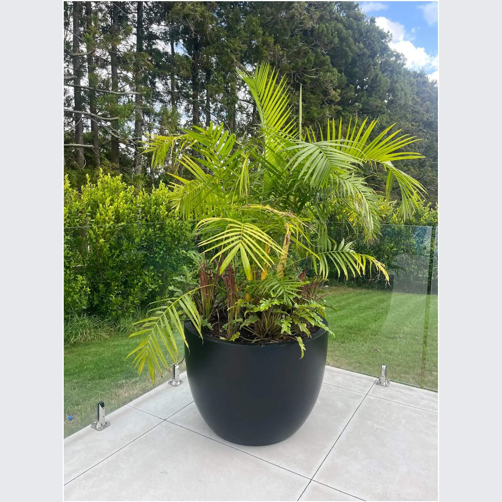 Bianca Egg Pot gallery detail image