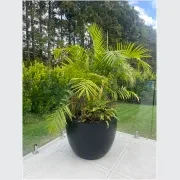 Bianca Egg Pot gallery detail image