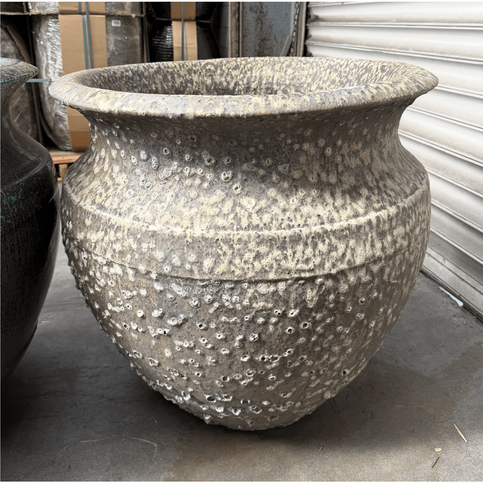 Atlantis - Castor Jar gallery detail image