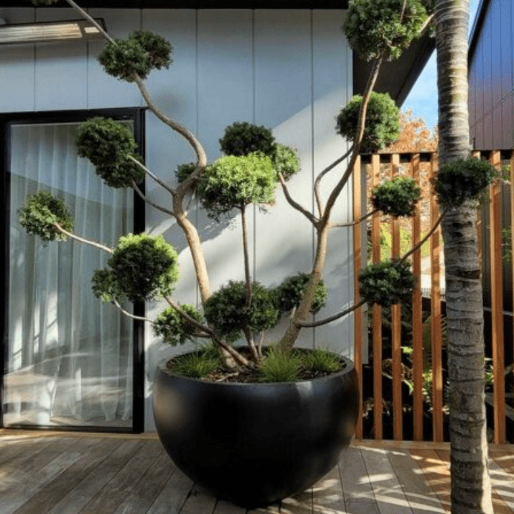 Bianca Spa Planter gallery detail image