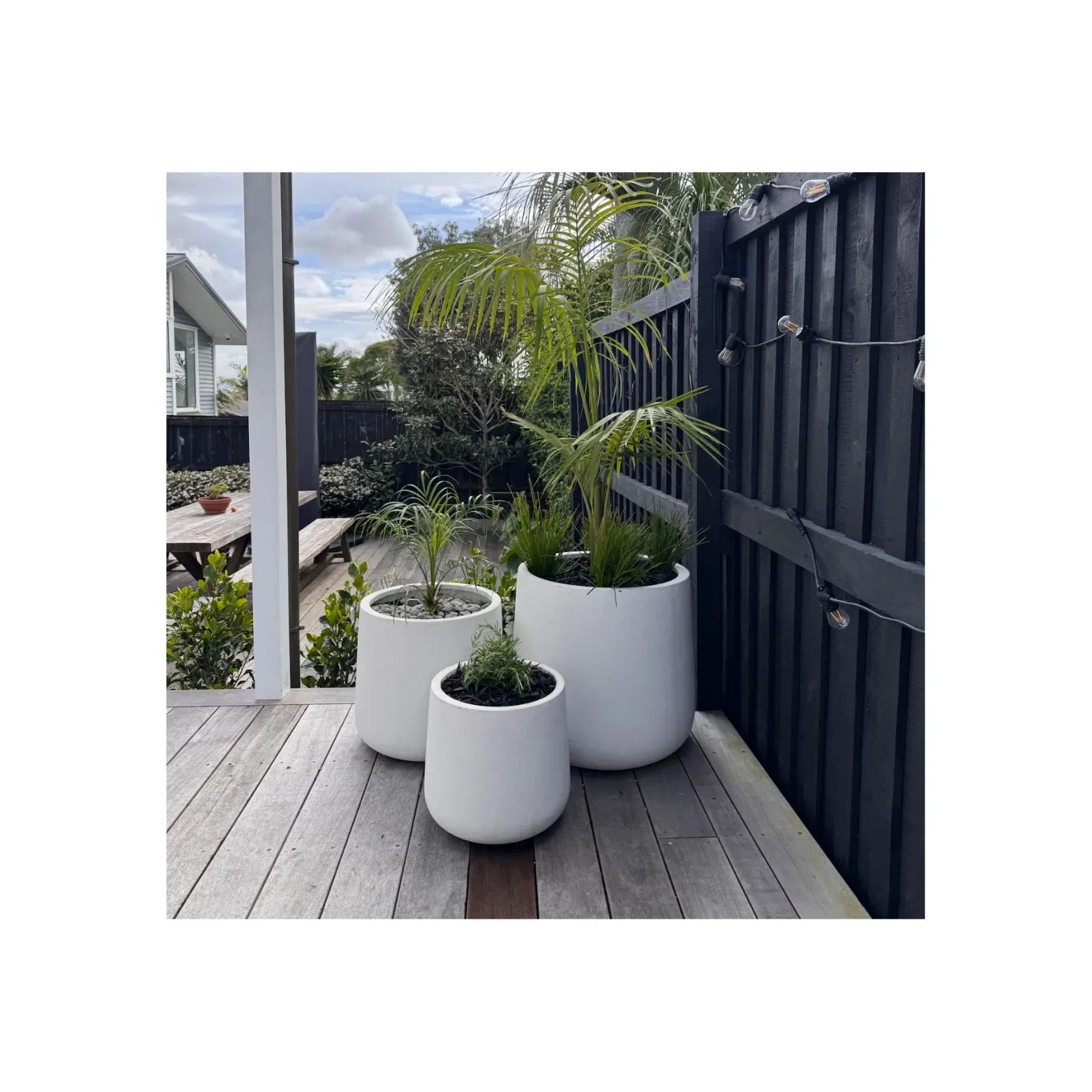 Bianca Cylinder Pot gallery detail image