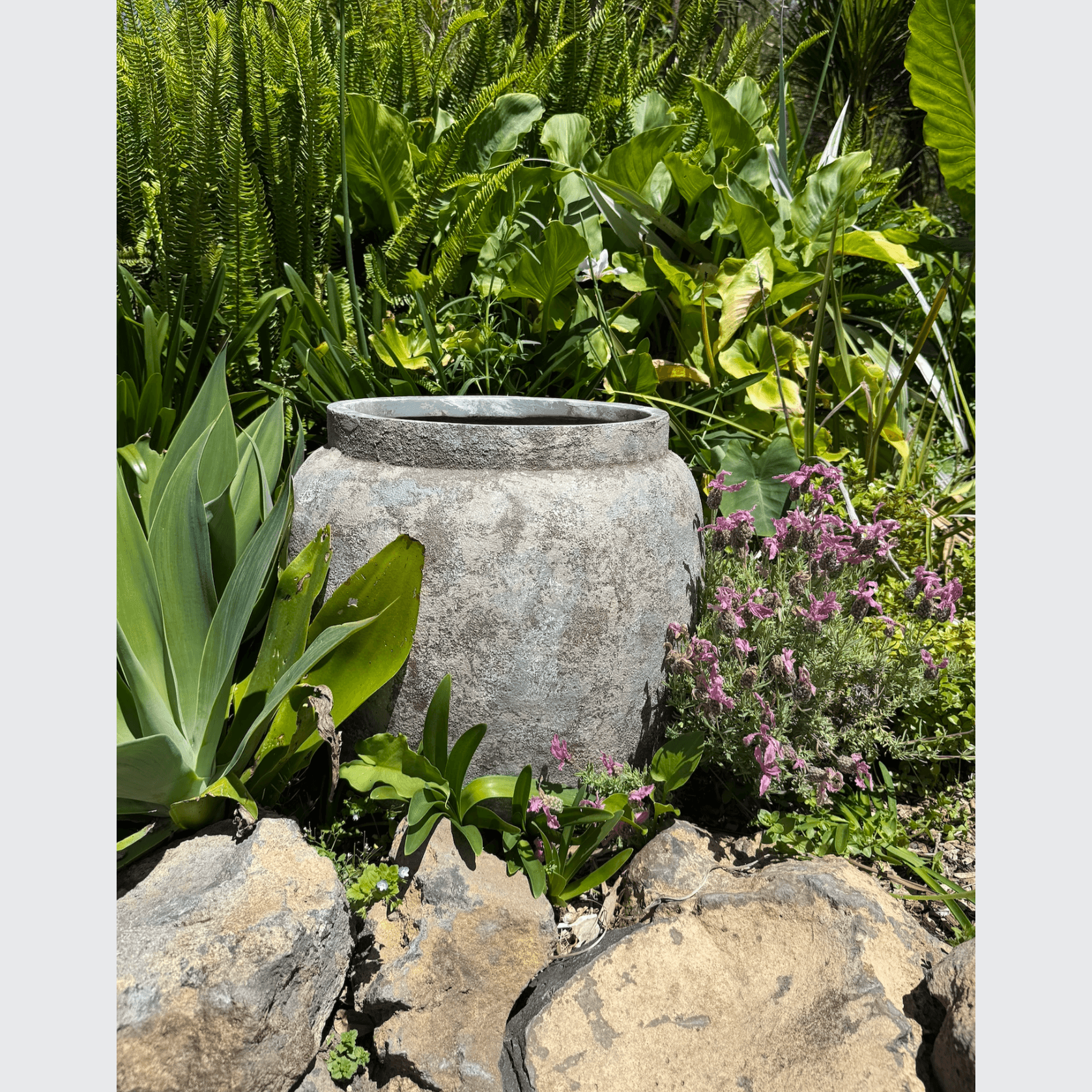 Classic Planter – Medium gallery detail image