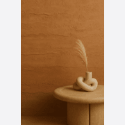 Volare TerraCotta Venetian Plaster gallery detail image