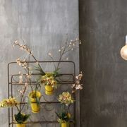 Kelso gallery detail image