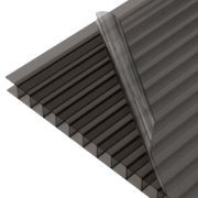 SUNLITE® Twinwall Polycarbonate gallery detail image