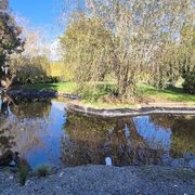Aquamark® Polypropylene Pond Liner gallery detail image