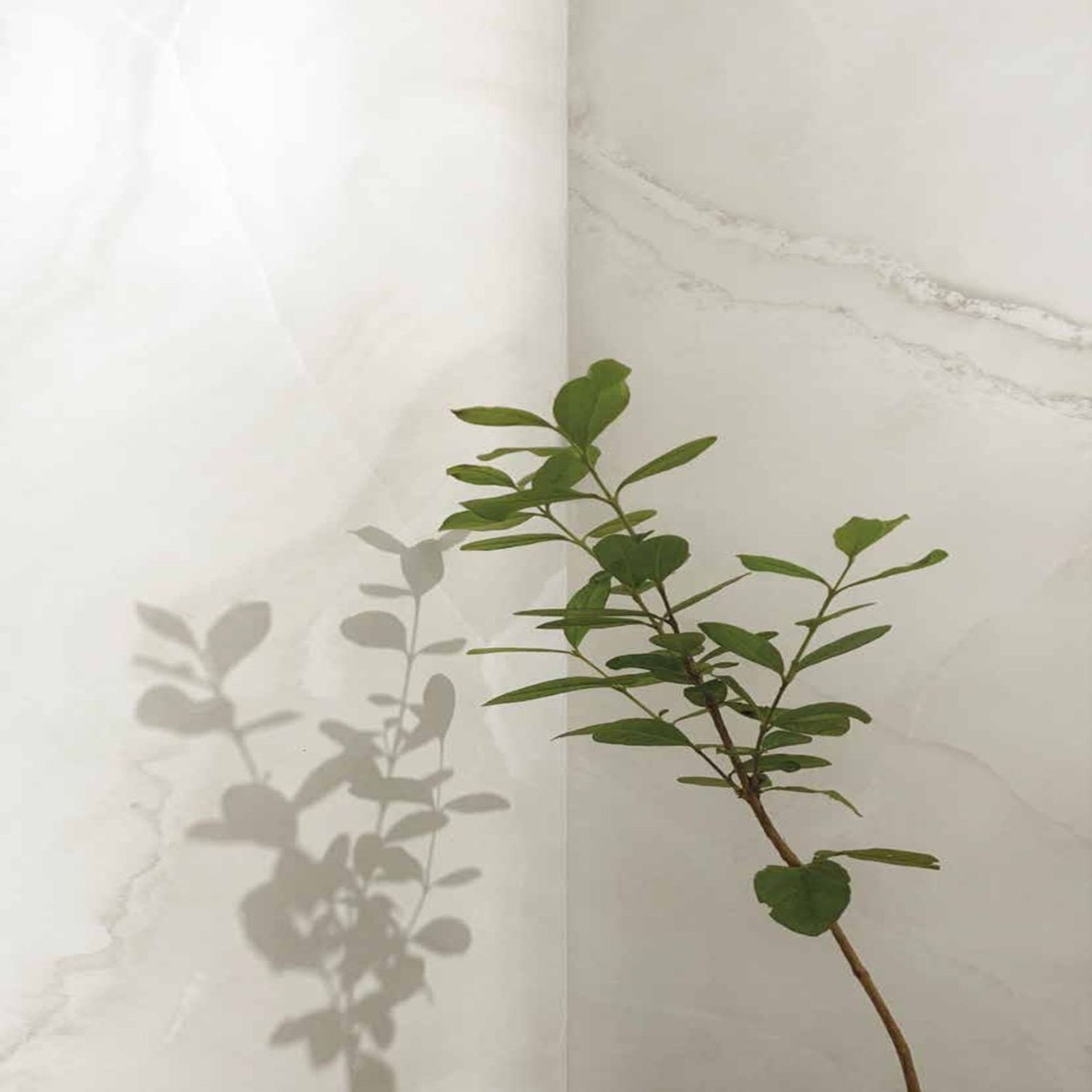 Onyx White Marble Look Porcelain Tiles gallery detail image