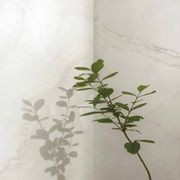Onyx White Marble Look Porcelain Tiles gallery detail image
