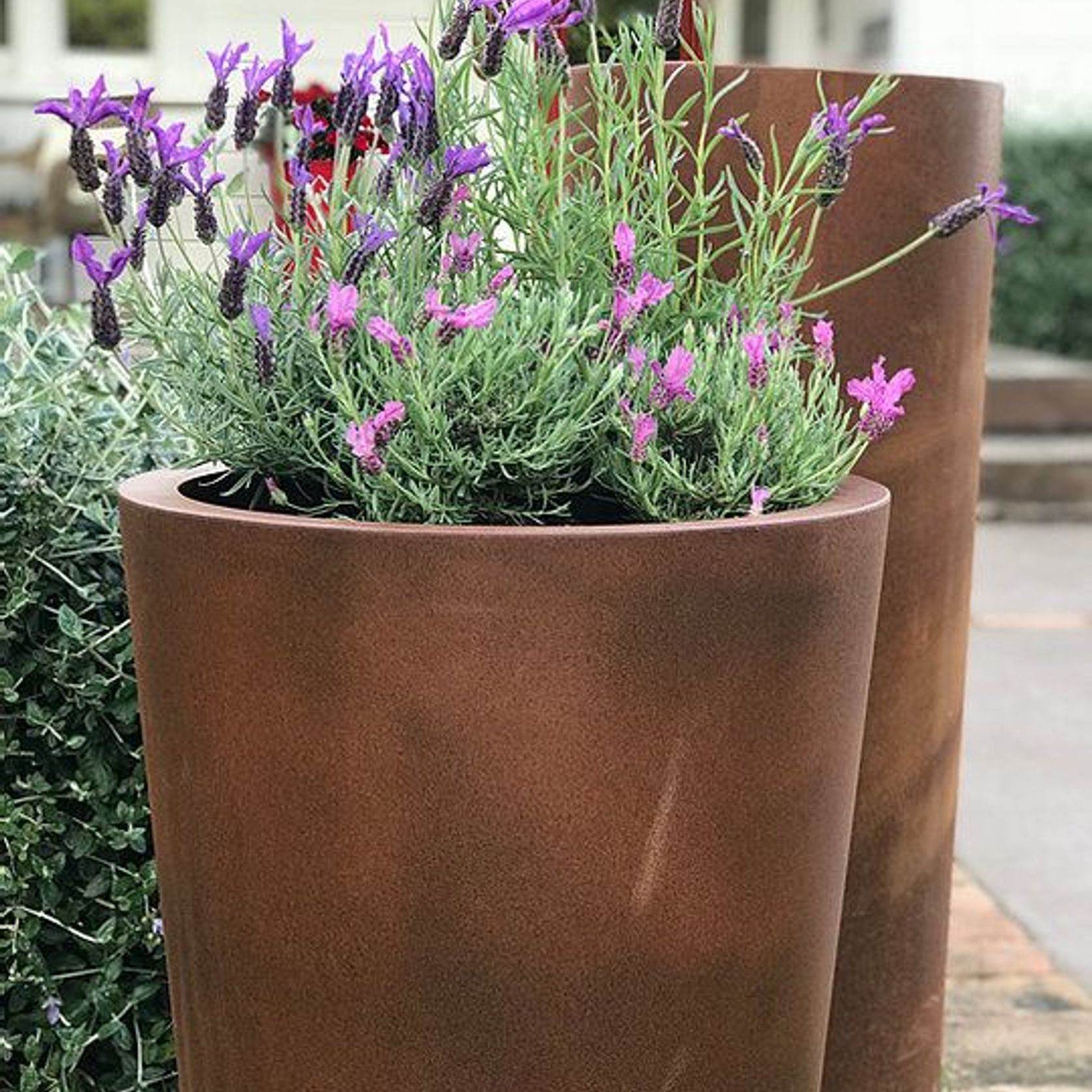 Corten Tapered Cylinder Planter gallery detail image