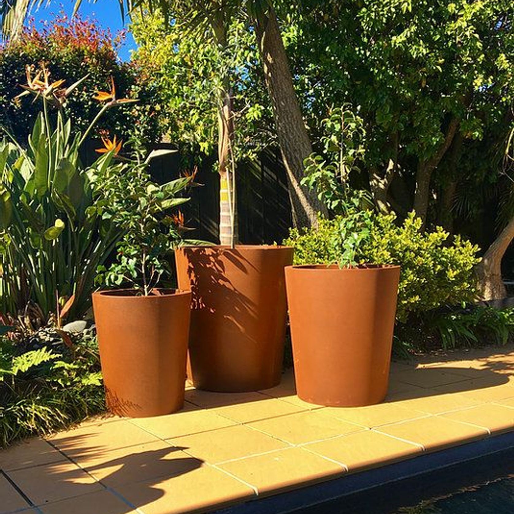 Corten Tapered Cylinder Planter gallery detail image