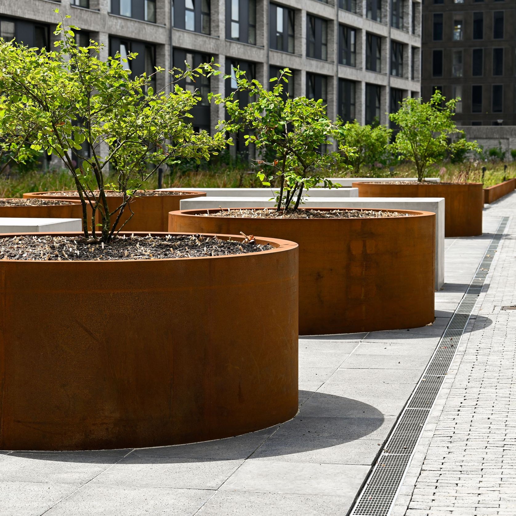 Circum Planter (with base) gallery detail image