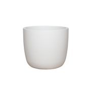 Alesund U Cup gallery detail image