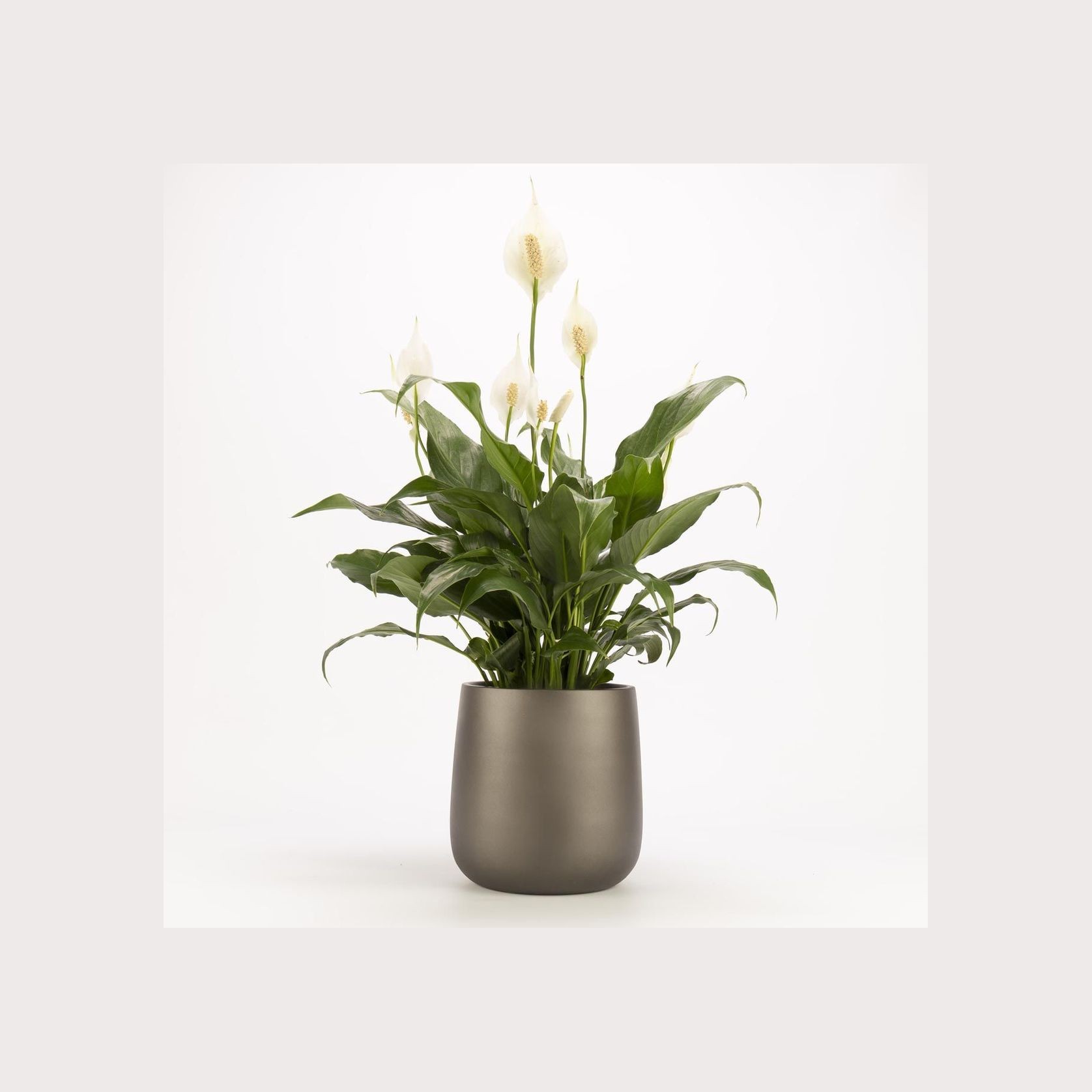 Ashgrove Duffel gallery detail image