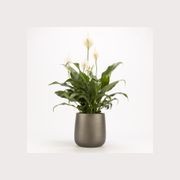 Ashgrove Duffel gallery detail image