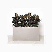 Auchenflower Trough gallery detail image