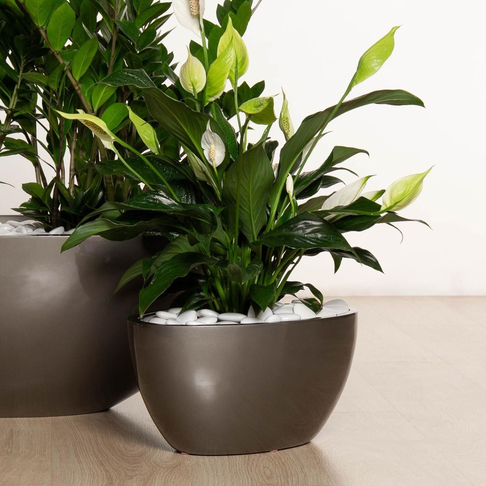 Chelmer Bowl gallery detail image