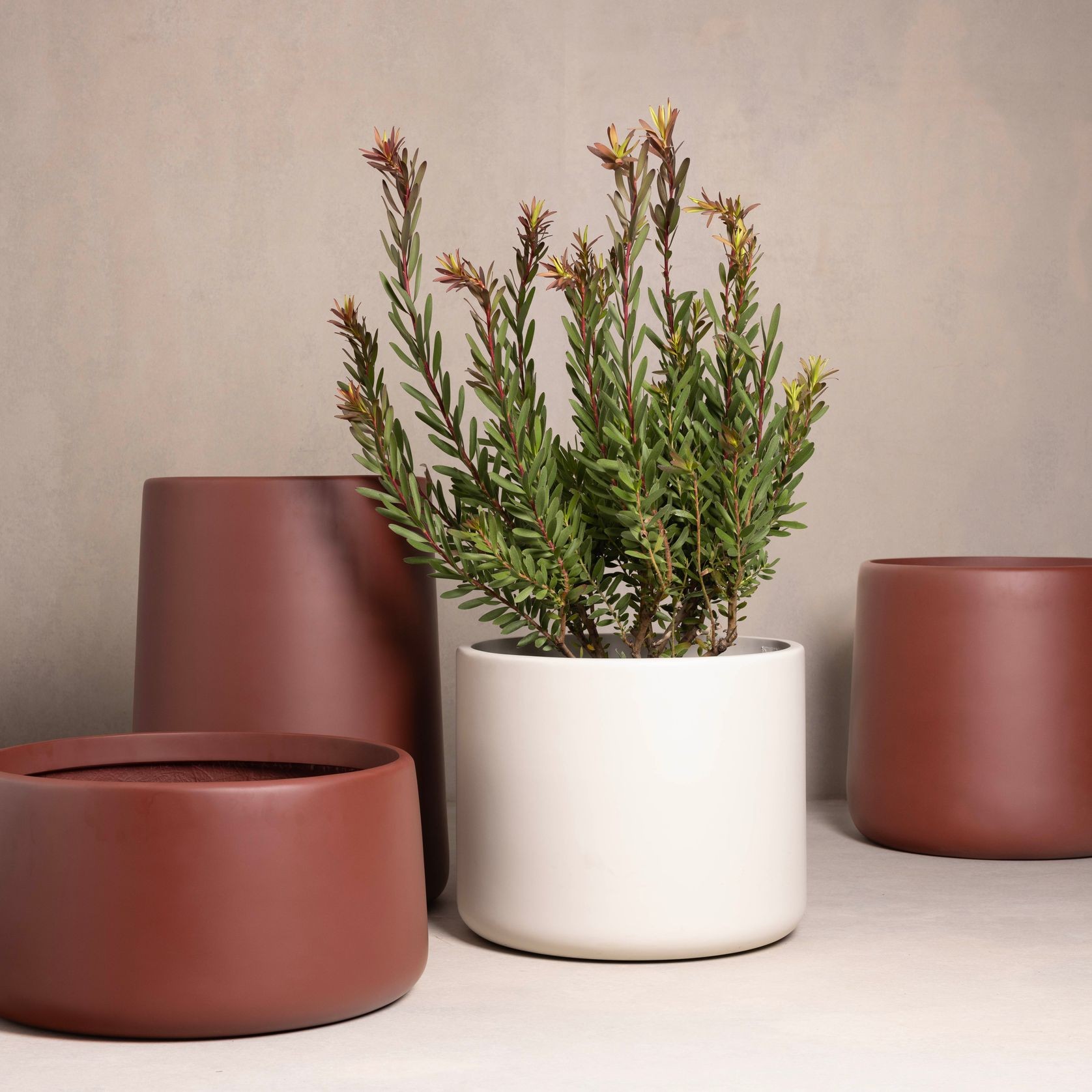 Hibernate 87 Degrees U Jar - Iron gallery detail image