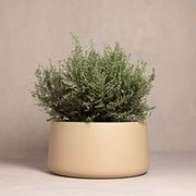 Hibernate 87 Degrees U Jar - Dune gallery detail image