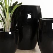 Newmarket Egg gallery detail image