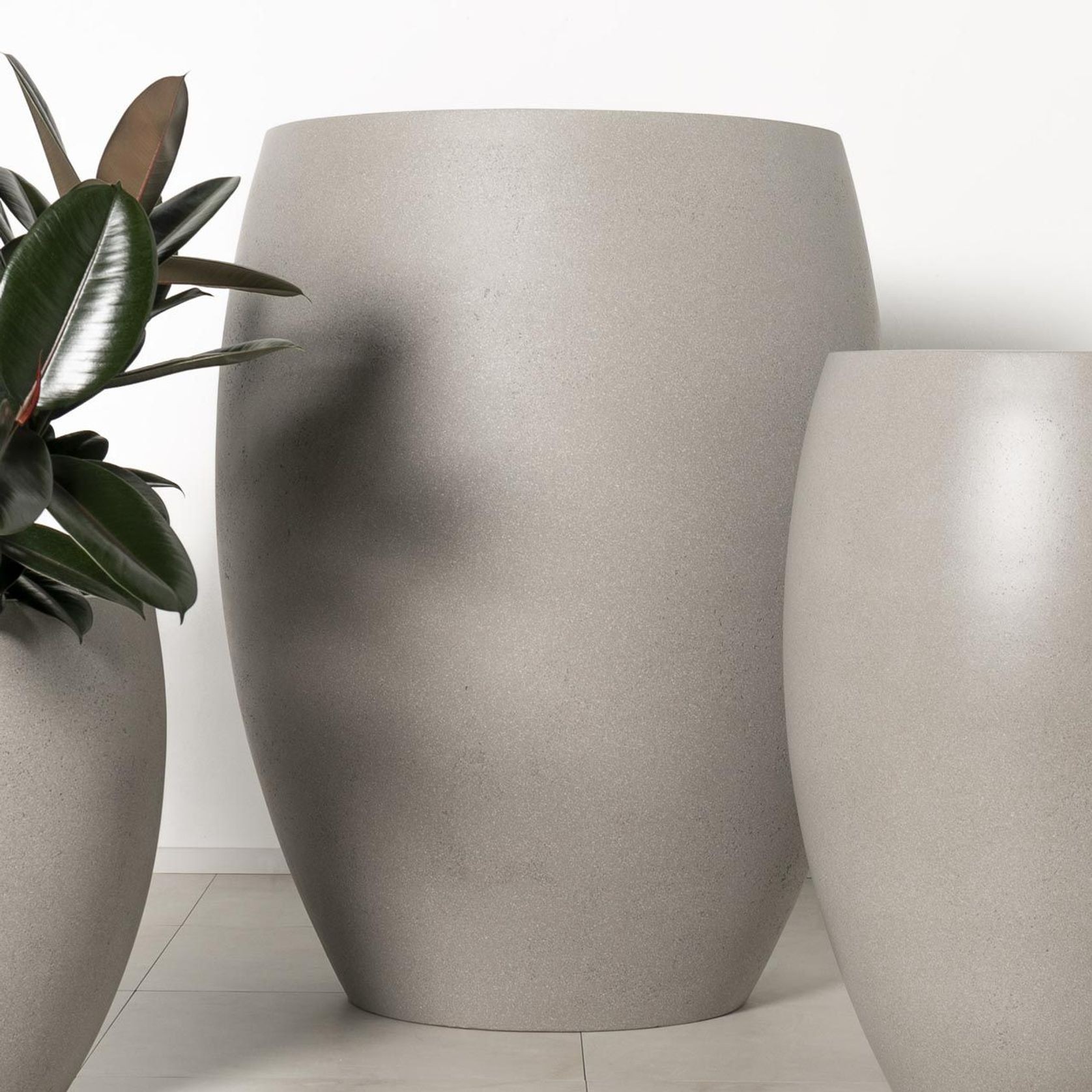 Newmarket Egg gallery detail image