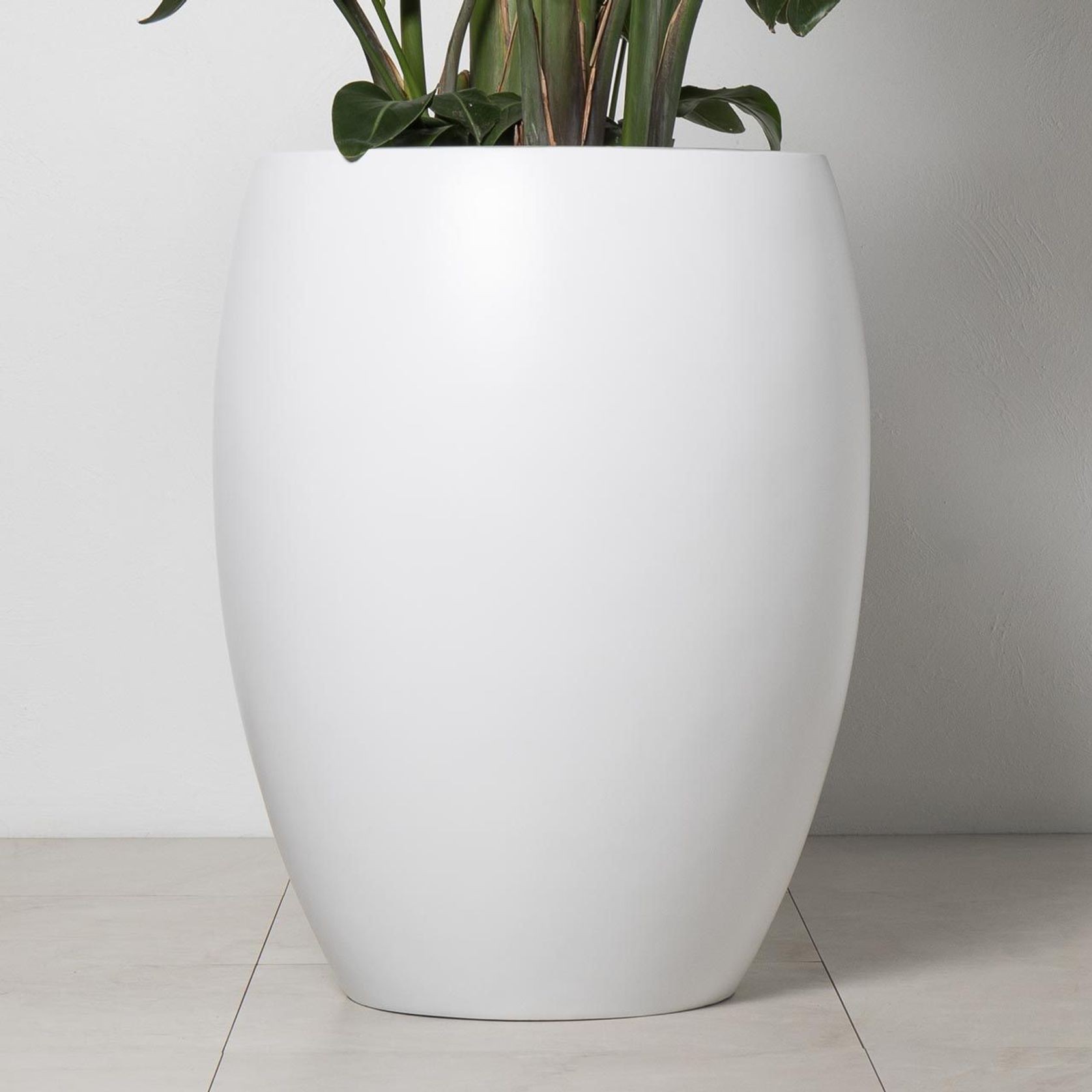 Newmarket Egg gallery detail image