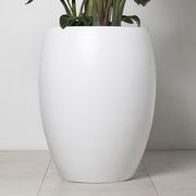 Newmarket Egg gallery detail image