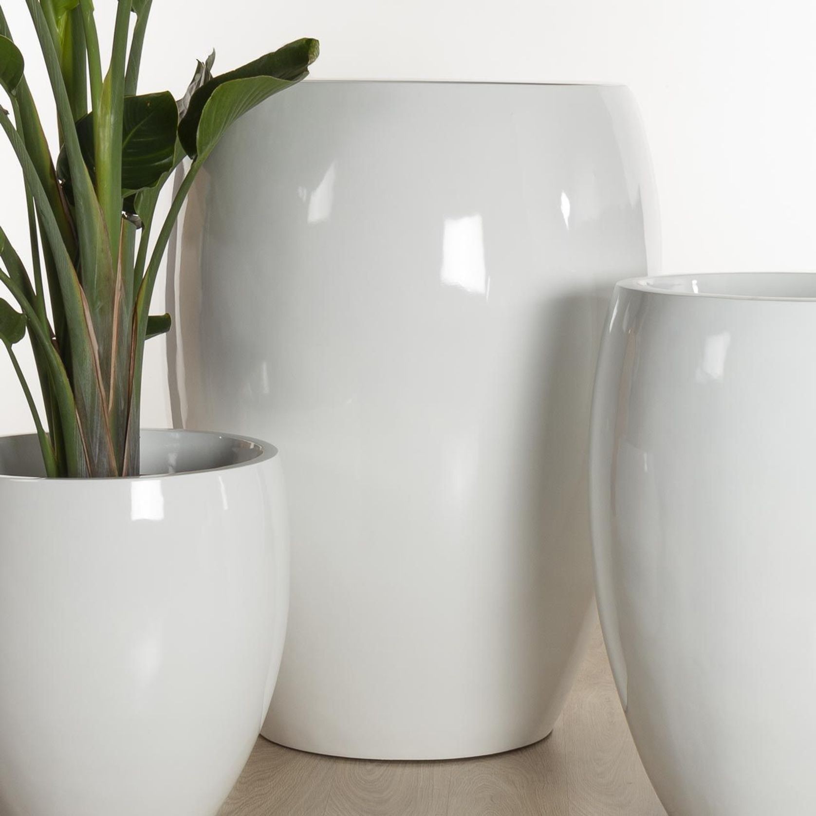 Newmarket Egg gallery detail image