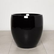 Newmarket Egg gallery detail image