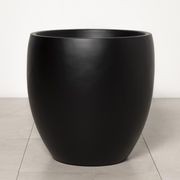 Newmarket Egg gallery detail image