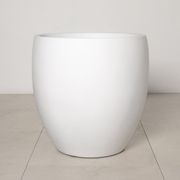 Newmarket Egg gallery detail image