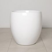 Newmarket Egg gallery detail image