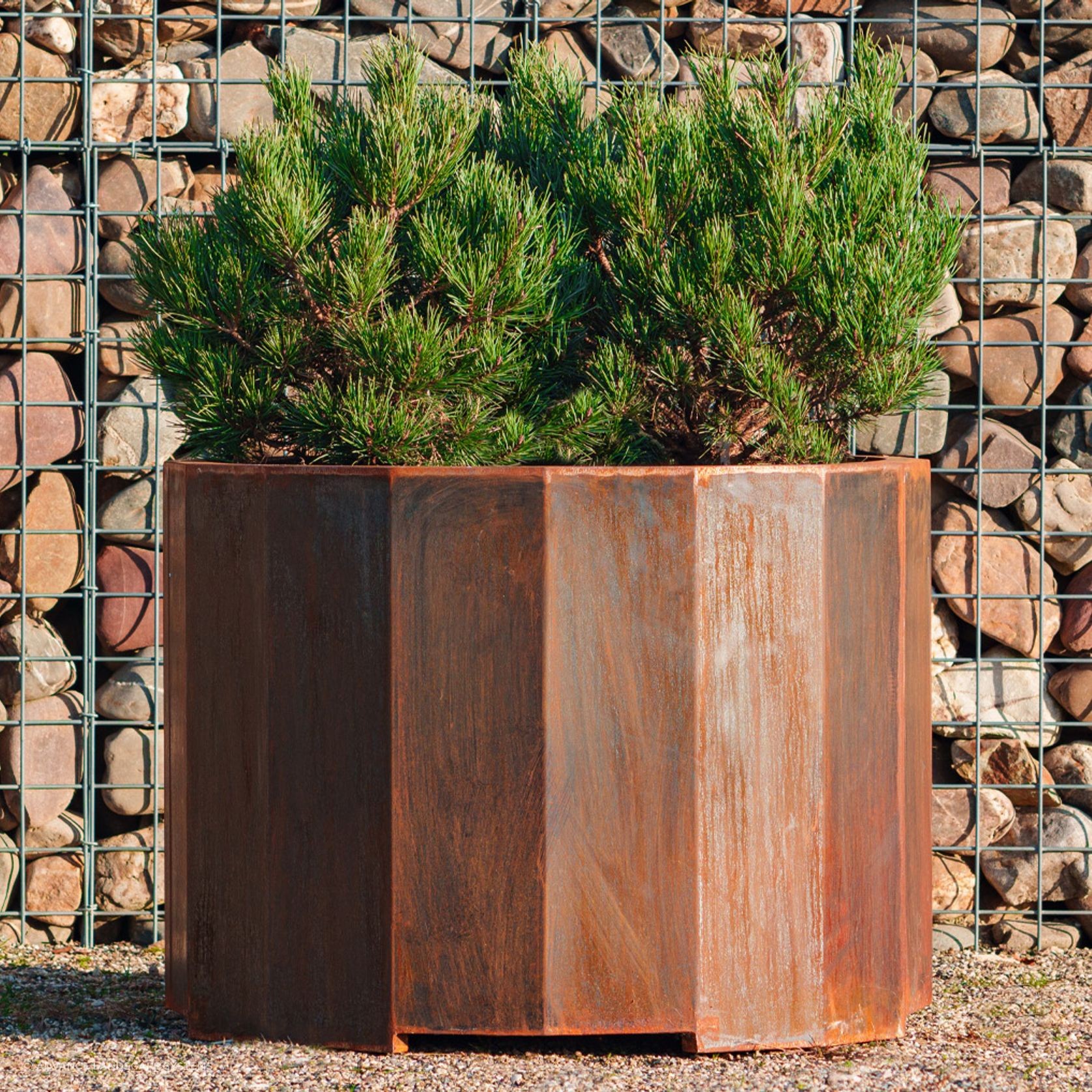 Boxer Planter gallery detail image