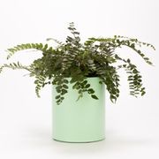 Wilston Cylinder gallery detail image