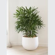 Hibernate 86 Degrees Round - Salt gallery detail image