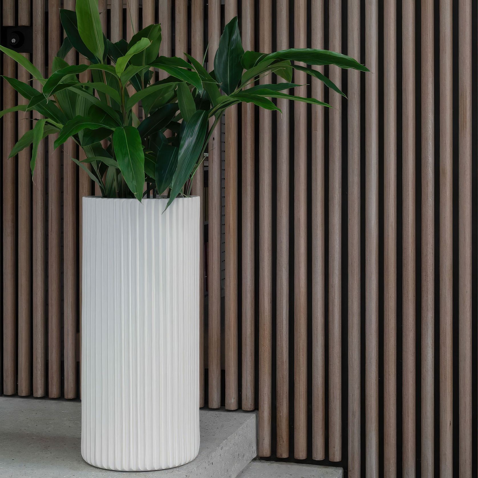 Hibernate 90 Degrees Tall Ribbed - Salt gallery detail image