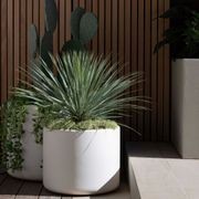 Hibernate 90 Degrees - Salt gallery detail image