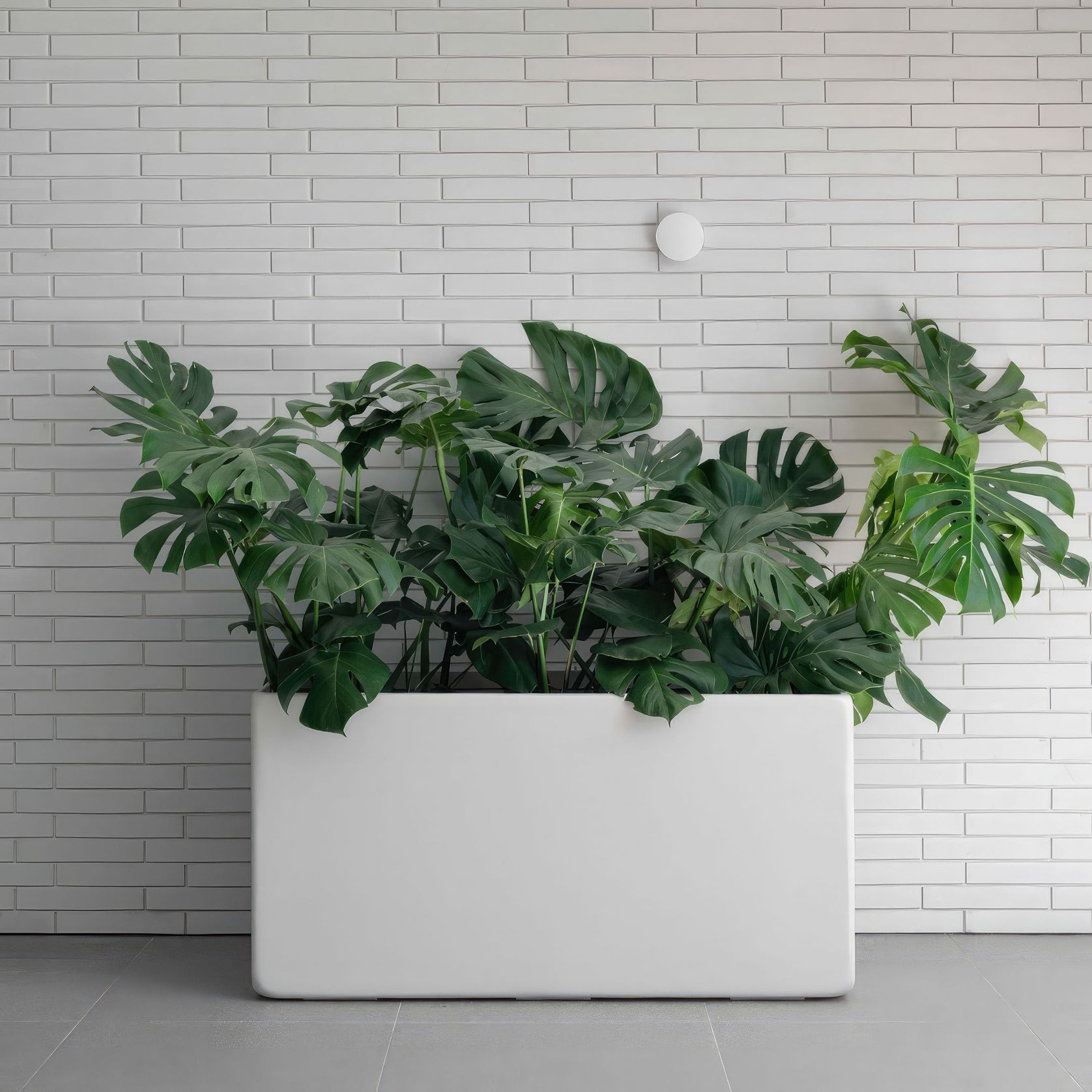 Hibernate Low Line Planters - Salt gallery detail image