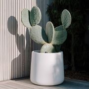 Hibernate 87 Degrees U Jar - Salt gallery detail image