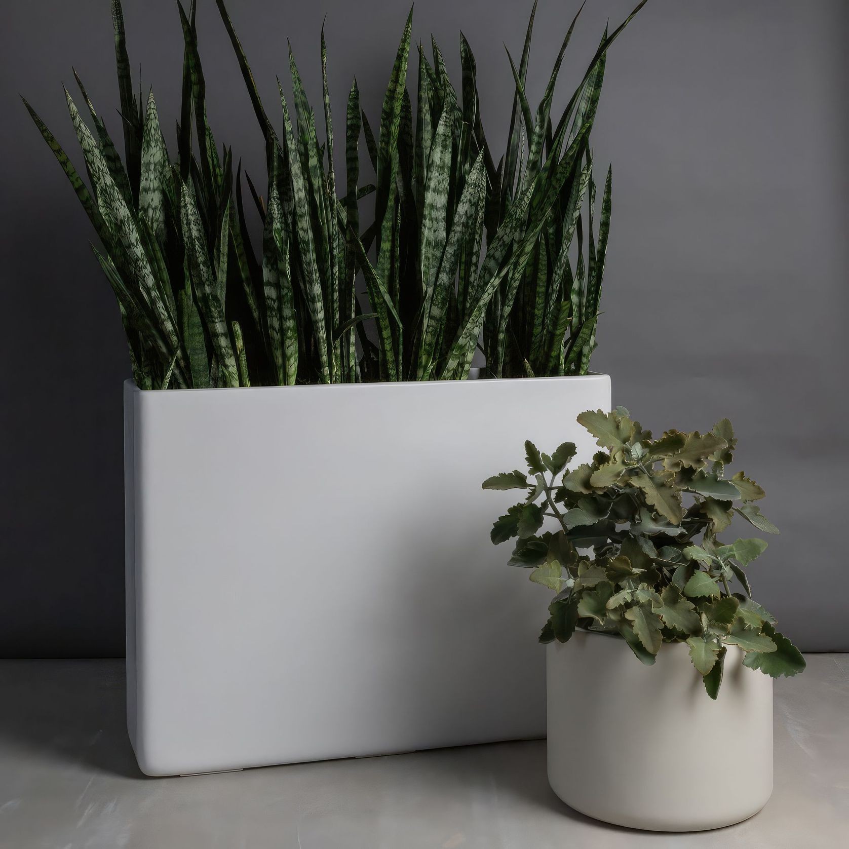 Hibernate 90 Degrees - Stone gallery detail image