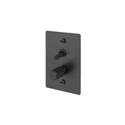 Buster + Punch 2G Toggle+Dimmer Vertical Cross gallery detail image