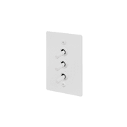 Buster + Punch 3G Toggle Vertical 2-Way Linear gallery detail image