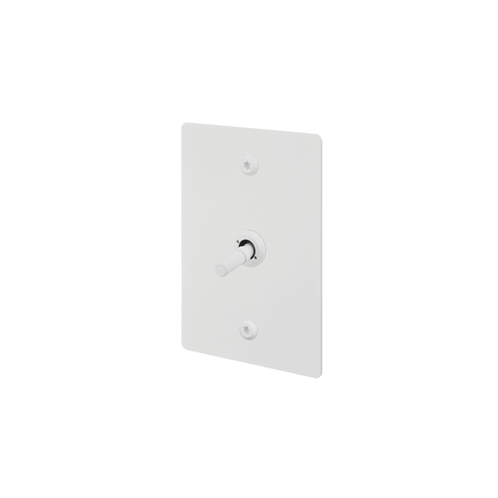 Buster + Punch 1G Toggle Vertical 2-Way Linear gallery detail image