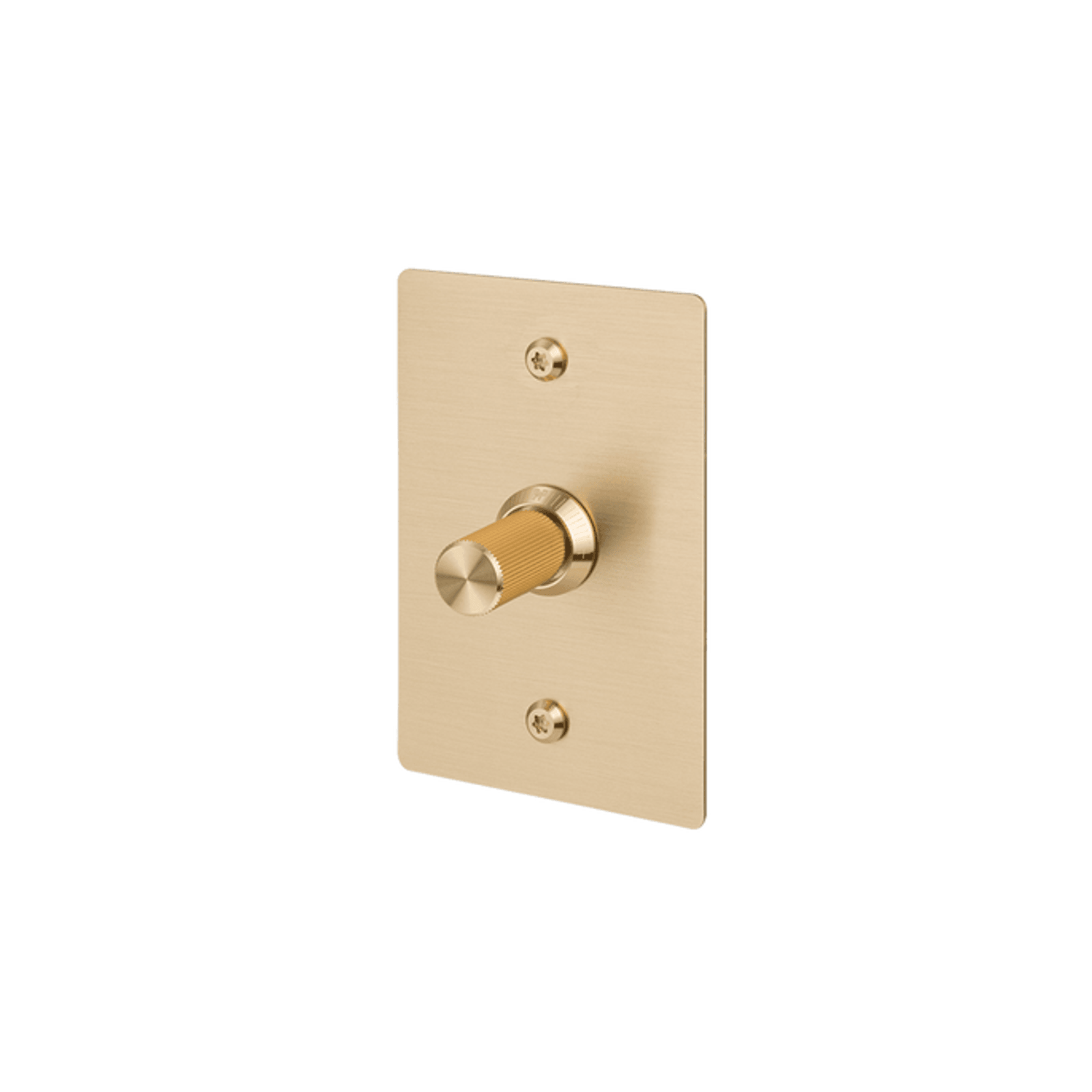 Buster + Punch 1G Dimmer Vertical 250W Linear gallery detail image