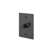 Buster + Punch 1G Dimmer Vertical 250W Linear gallery detail image