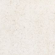 White Rose Stone Slab | Transcendent Range gallery detail image
